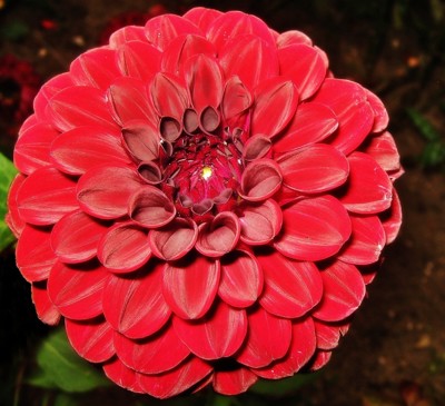 Click here to view at full resolution.