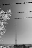Barbed Wireless by boremachine, Photography->Still life gallery