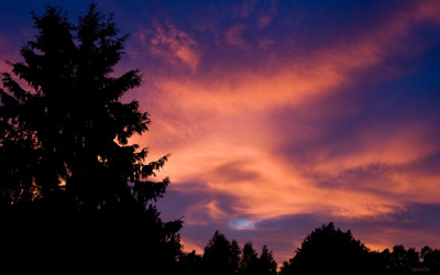 Click here to view at full resolution.