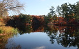 Lake Foliage by Tomeast, photography->landscape gallery