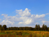 A little bit of autumn by annie100, Photography->Landscape gallery