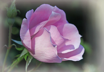 Click here to view at full resolution.