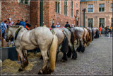Gig Ride Folklore 02 by corngrowth, photography->general gallery