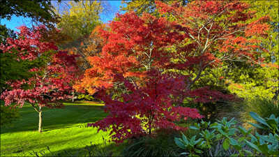 Click here to view at full resolution.