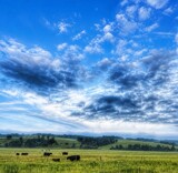 Wide Open Spaces by Starglow, photography->landscape gallery