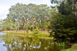 The Billabong Orange Botanical Gardens by flanno2610, photography->gardens gallery